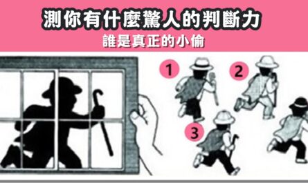 猜猜，真正小偷，驚人的，判斷力，心理測驗，星座寶寶
