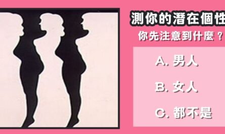 第一眼，看見，注意，潛在個性，心理測驗，星座寶寶