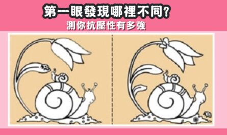 第一眼，發現，哪裡不同，抗壓性，有多強，心理測驗，星座寶寶