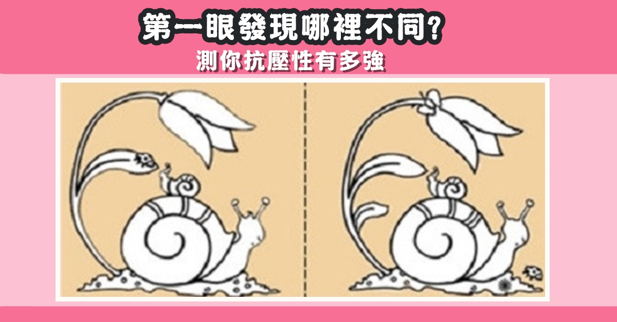 第一眼，發現，哪裡不同，抗壓性，有多強，心理測驗，星座寶寶