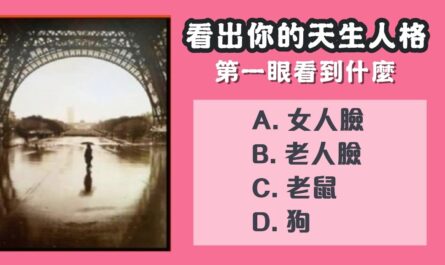第一眼，看見什麼，天生人格，心理測驗，星座寶寶