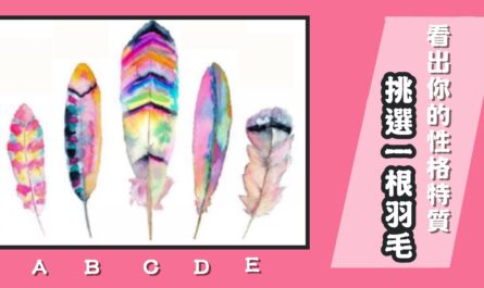 直覺，喜愛，一根羽毛，過人之處，性格特質，心理測驗，星座寶寶