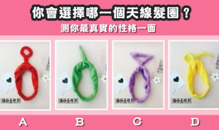 最喜歡，天線髮圈，真實性格，心理測驗，星座寶寶