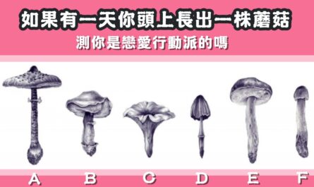 頭上長蘑菇，超夯心測，戀愛，行動派，心理測驗，星座寶寶