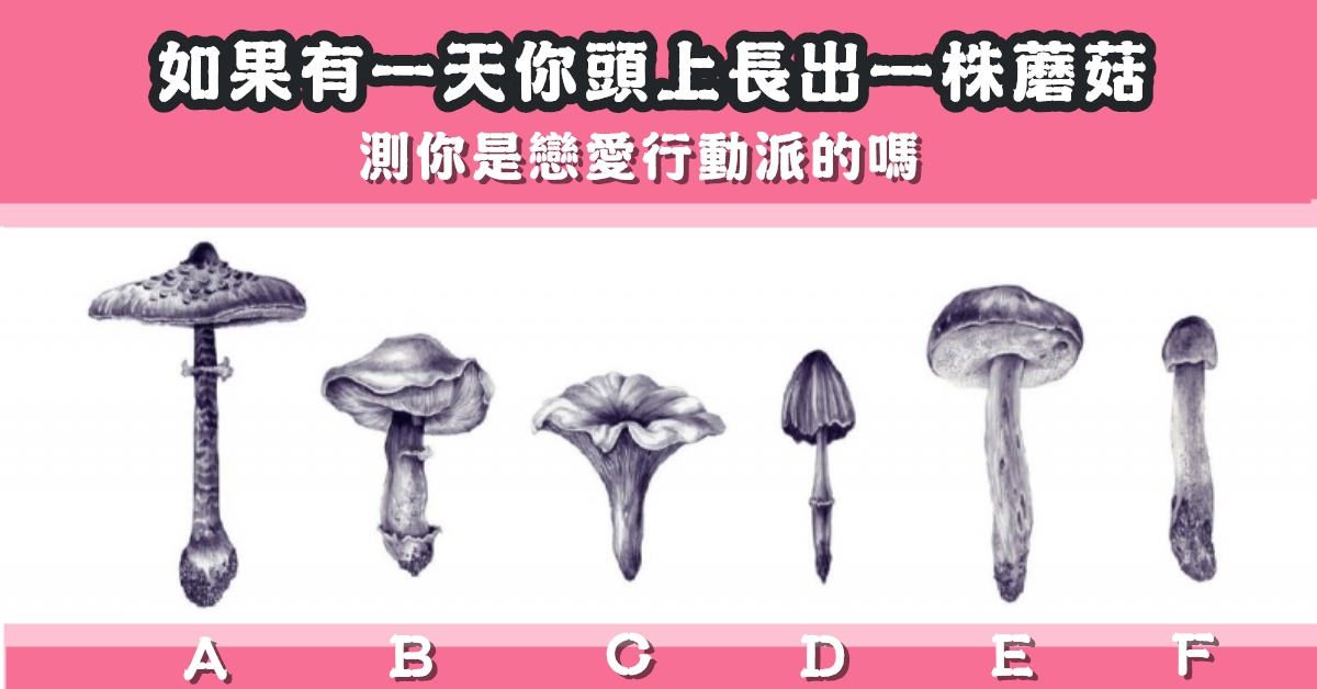 頭上長蘑菇，超夯心測，戀愛，行動派，心理測驗，星座寶寶