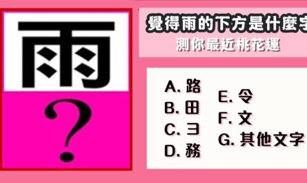 憑直覺，單身，有伴，最近，桃花運，心理測驗，星座寶寶