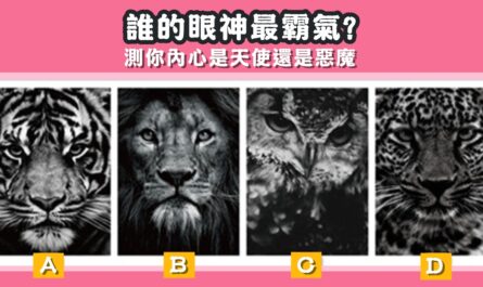 眼神，最霸氣，內心，天使，還是，惡魔，心理測驗，星座寶寶