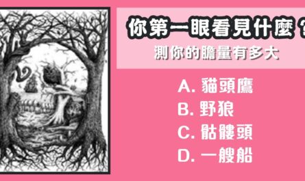 第一眼，看見什麼，膽量，有多大，心理測驗，星座寶寶