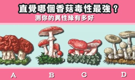直覺，香菇，毒性最強，異性緣，緣分，心理測驗，星座寶寶