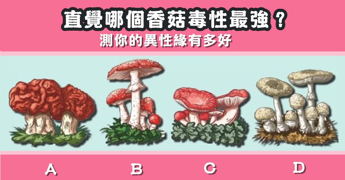 直覺，香菇，毒性最強，異性緣，緣分，心理測驗，星座寶寶