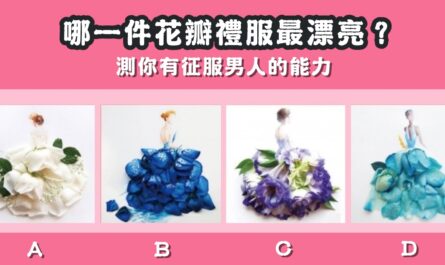 花瓣禮服，最漂亮，測試，征服男人能力，心理測驗，星座寶寶