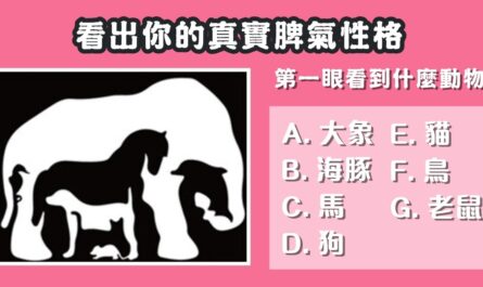 第一眼，看到什麼，動物，真是脾氣，脾氣性格，心理測驗，星座寶寶