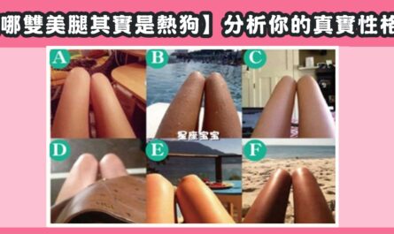 美腿，真實熱狗，分析，真實性格，心理測驗，星座寶寶