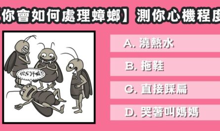 日常生活，處理，蟑螂，心機，程度，心理測驗，星座寶寶
