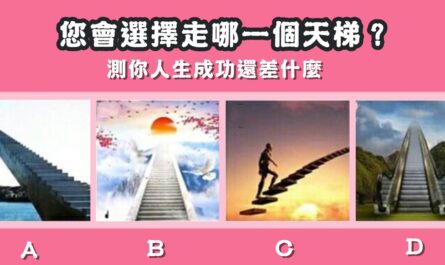 選擇，天梯，人生，成功，還差什麼，心理測驗，星座寶寶