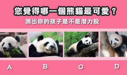 最可愛，熊貓，孩子，潛力股，心理測驗，星座寶寶