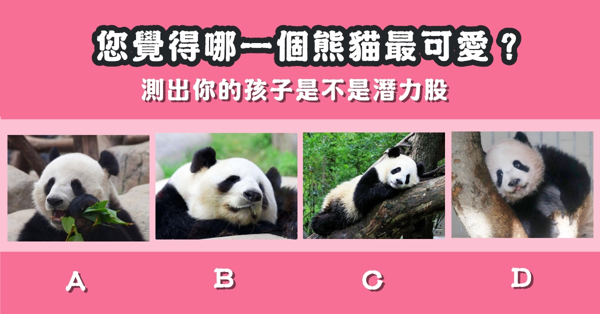 最可愛，熊貓，孩子，潛力股，心理測驗，星座寶寶