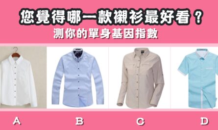 最喜歡，襯衫，最好看，單身，基因，指數，心理測驗，星座寶寶