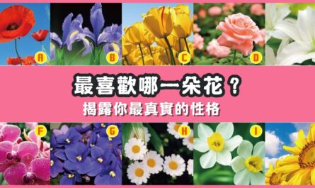 最喜歡，一朵花，揭露，真實的你，性格，心理測驗，星座寶寶