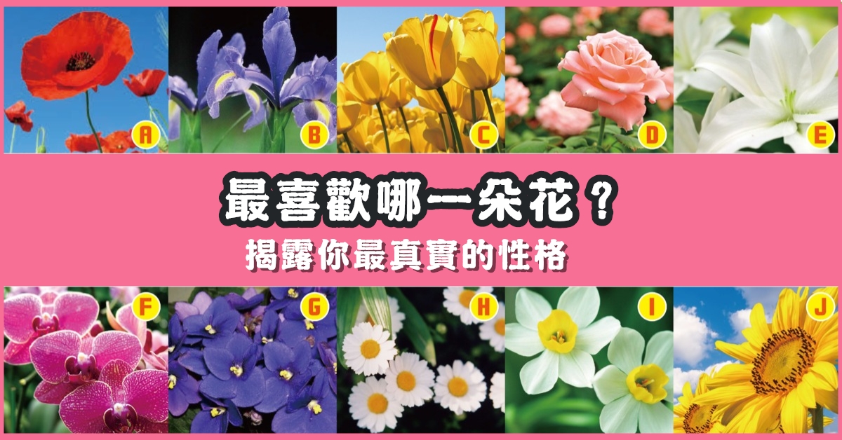 最喜歡，一朵花，揭露，真實的你，性格，心理測驗，星座寶寶