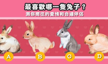 最喜歡，兔子，嚮往，愛情，合適伴侶，心理測驗，星座寶寶