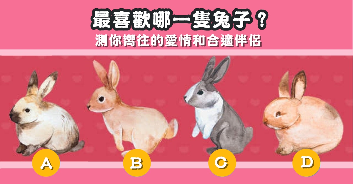 最喜歡，兔子，嚮往，愛情，合適伴侶，心理測驗，星座寶寶