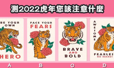 憑直覺，挑選，老虎牌，新的一年，注意，什麼，心理測驗，星座寶寶