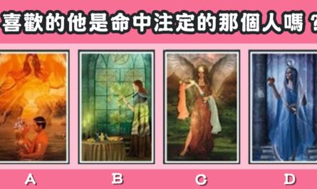 仙女塔羅，喜歡的他，命中註定，那個人，心理測驗，星座寶寶