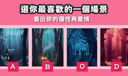 最喜歡，場景，個性，愛情，心理測驗，星座寶寶