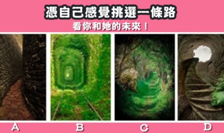 憑感覺，選擇，一條路，你和她，未來，心理測驗，星座寶寶