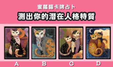 最有感覺，貓咪，占卜，潛在，人格，特質，心理測驗，星座寶寶