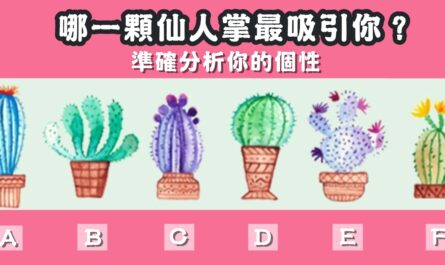 仙人掌，最吸引你，分析，個性性格，心理測驗，星座寶寶