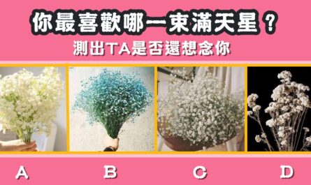 最喜歡，滿天星，花束，是否還想你，心理測驗，星座寶寶