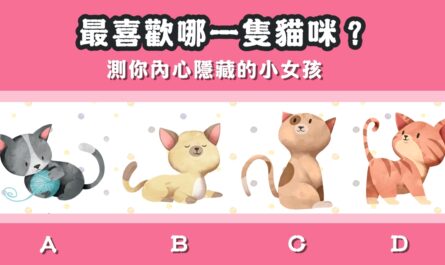 最喜歡，貓咪，內心，隱藏，小女孩，心理測驗，星座寶寶