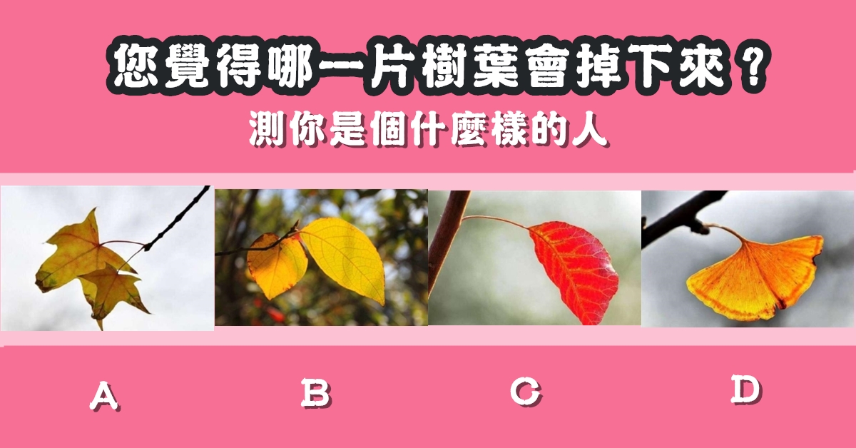 樹葉，掉下來，性格，什麼樣的人，心理測驗，星座寶寶