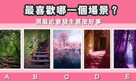 最喜歡，場景，最近，發生，好事，心理測驗，星座寶寶