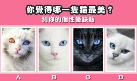 貓最美，準到讓你無言，個性優缺點，心理測驗，星座寶寶