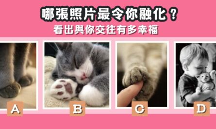 照片，令你，融化，與你，交往，多幸福，心理測驗，星座寶寶