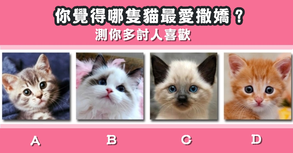 最愛，撒嬌，貓咪，討人喜歡，心理測驗，星座寶寶