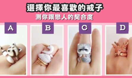 最喜歡，戒子，戀人，契合度，心理測驗，星座寶寶