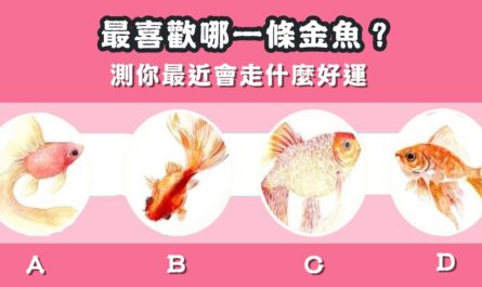 感覺，金魚，最近運勢，走好運，心理測驗，星座寶寶