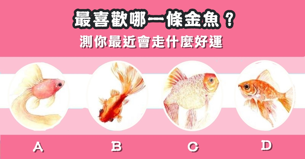 感覺，金魚，最近運勢，走好運，心理測驗，星座寶寶