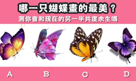 蝴蝶畫，最美麗，現在另一半，共度餘生，心理測驗，星座寶寶