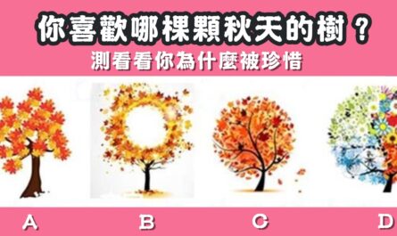 最喜歡，秋天的樹，為什麼，被珍惜，心理測驗，星座寶寶