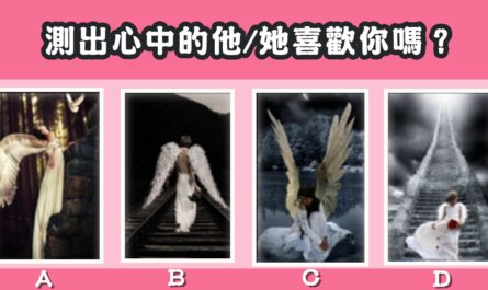 憑感覺，塔羅牌，心中的他，喜歡我，心理測驗，星座寶寶