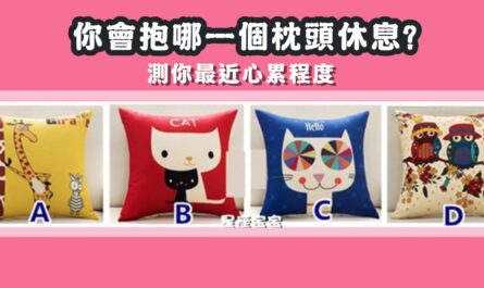 最想，抱枕頭，休息，最近心累，程度，心理測驗，星座寶寶