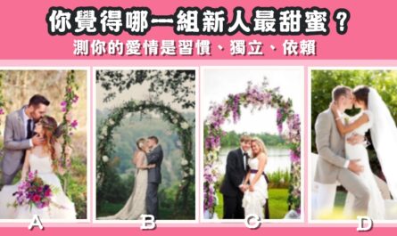 新人，最甜蜜，愛情，習慣，獨立，依賴，心理測驗，星座寶寶