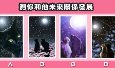 貓咪，塔羅牌，你和他，未來關係，發展，心理測驗，星座寶寶
