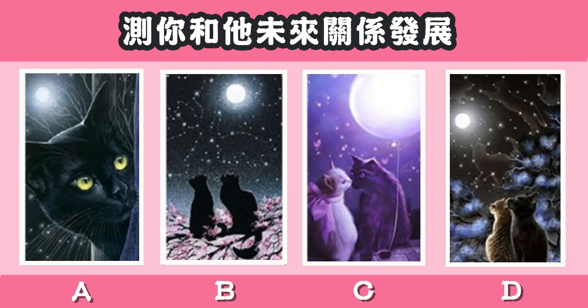 貓咪，塔羅牌，你和他，未來關係，發展，心理測驗，星座寶寶