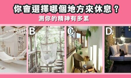 選擇地方，休息，精神疲勞，程度，心理測驗，星座寶寶
